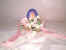 spq02.jpg (15457 byte)