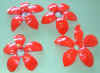 Copy of DSCF0057.jpg (19932 byte)